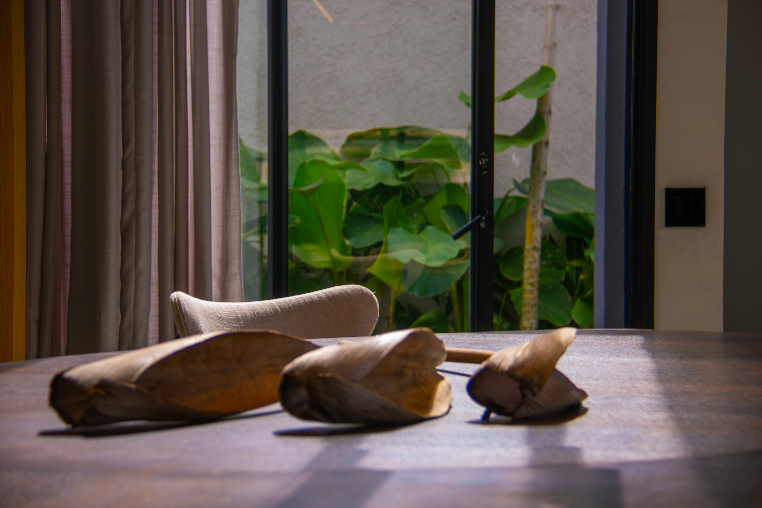 IMG_9340-Enhanced-NR